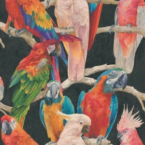 鸟类装饰画-ID:5197674