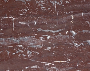 ModernMarble Tiles