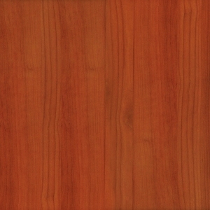 ModernWood Texture