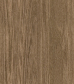 ModernWood Texture