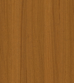 ModernWood Texture