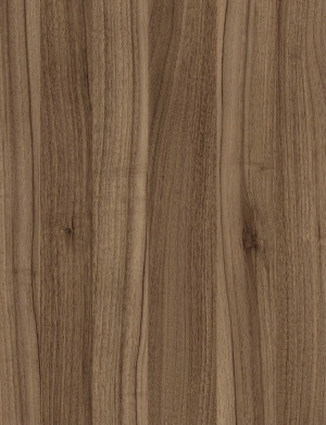 ModernWood Texture