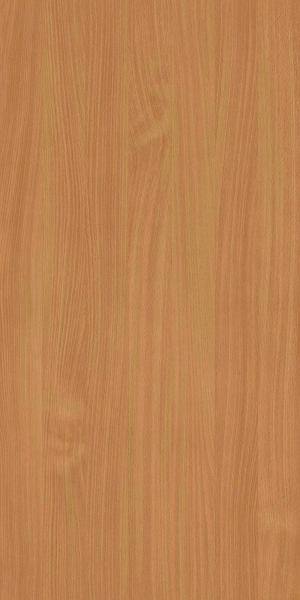 ModernWood Texture