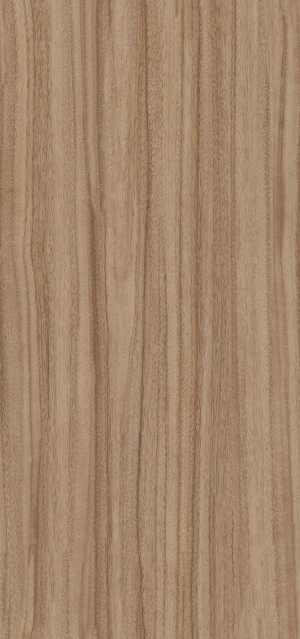 ModernWood Texture