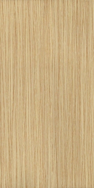 ModernWood Texture