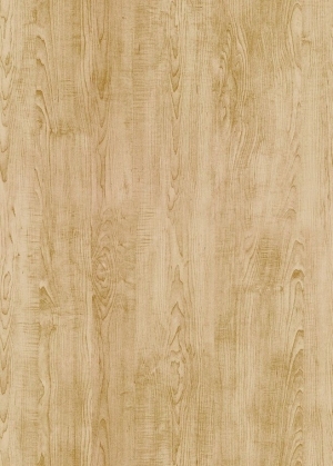 ModernWood Texture