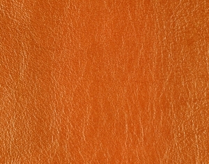 ModernOther Leather