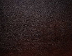 ModernFine Grain Leather