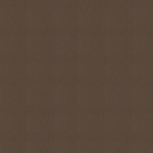 ModernFine Grain Leather