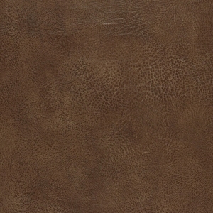 ModernOther Leather