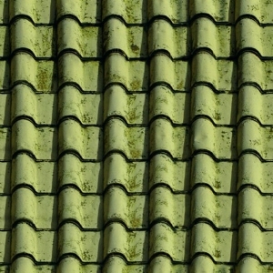 Roof Tiles