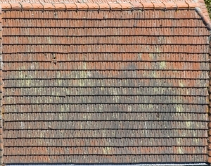 ModernRoof Tiles