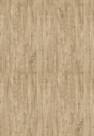 ModernWood Texture