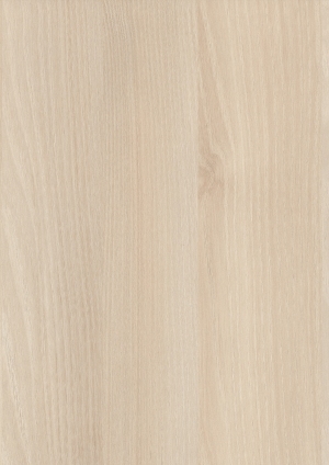 ModernWood Texture