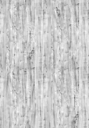 ModernWood Texture