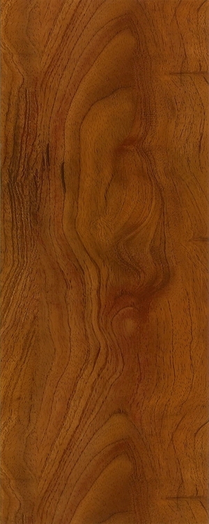 ModernWood Texture