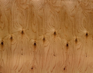 ModernWood Texture