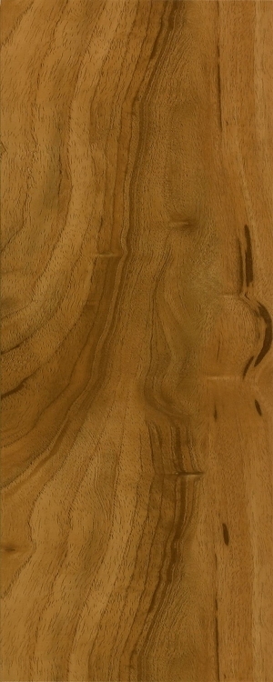 ModernWood Texture