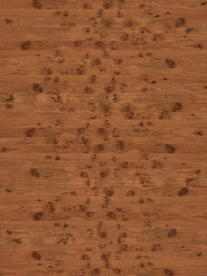 ModernWood Texture