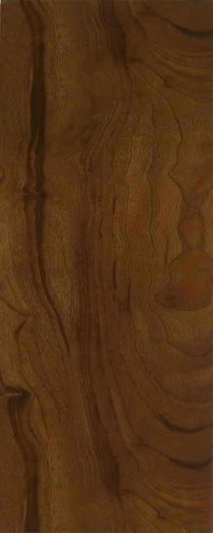 ModernWood Texture