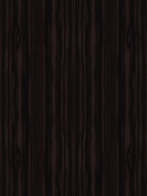 ModernWood Texture