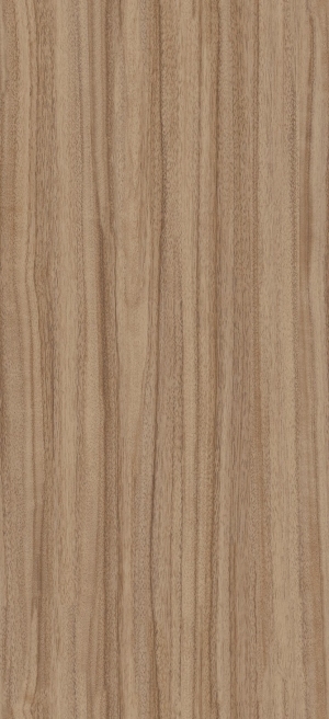 ModernWood Texture