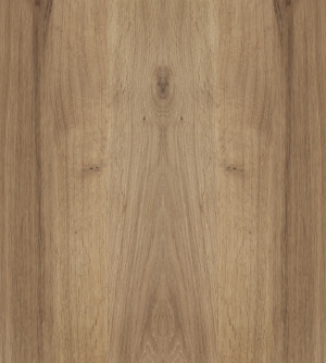 ModernWood Texture