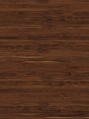 ModernWood Texture