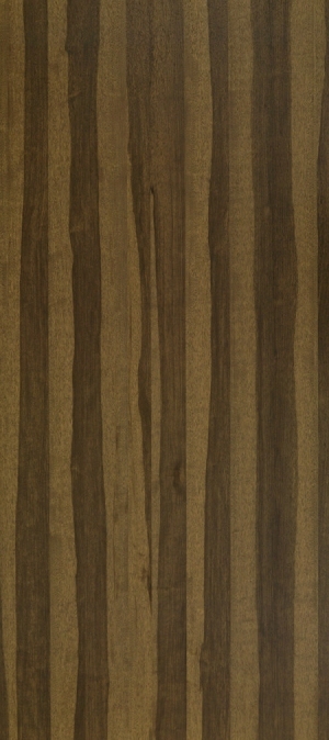 ModernWood Texture