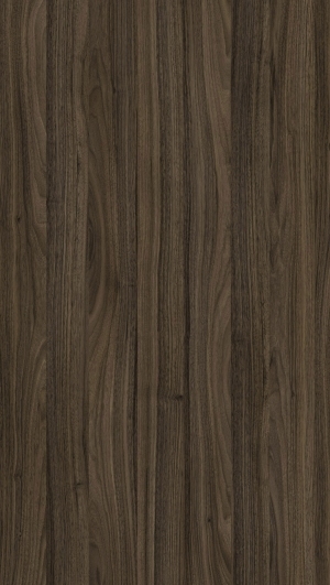 ModernWood Texture