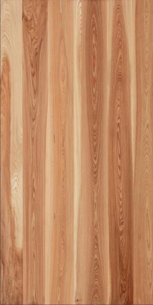 ModernWood Texture