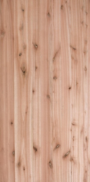 ModernWood Texture