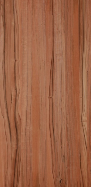 ModernWood Texture