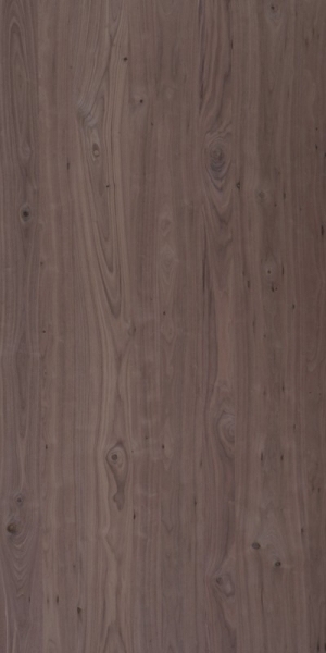 ModernWood Texture