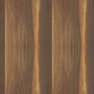 ModernWood Texture