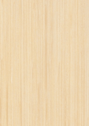 ModernWood Texture