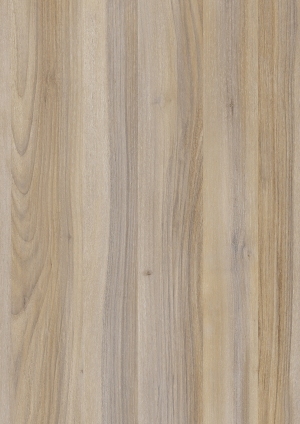 ModernWood Texture