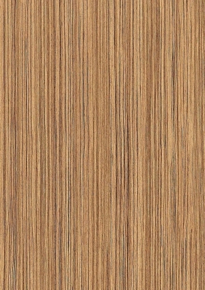 ModernWood Texture