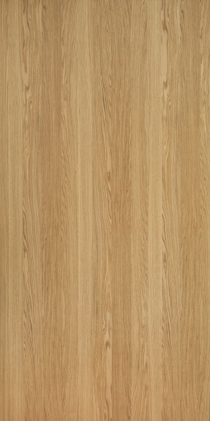 ModernWood Texture