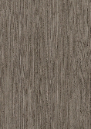 ModernWood Texture