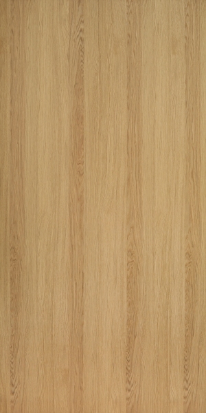 ModernWood Texture