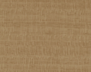 ModernWood Texture