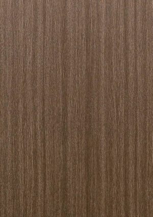 ModernWood Texture