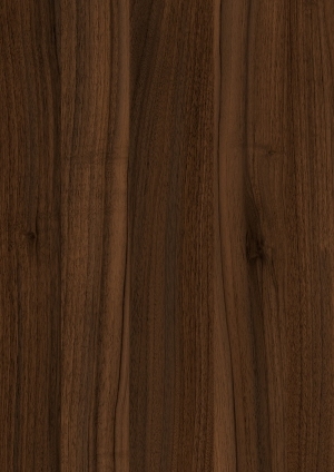 ModernWood Texture