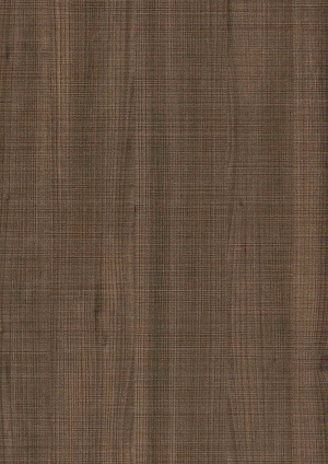 ModernWood Texture