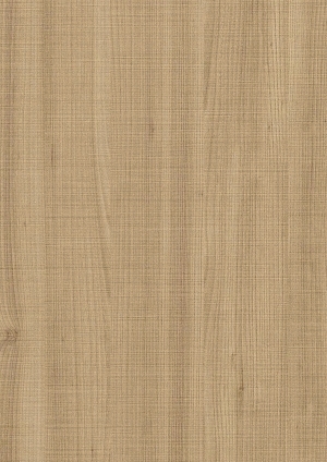 ModernWood Texture