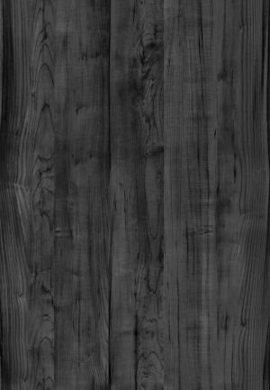 ModernWood Texture