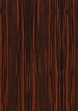 ModernWood Texture