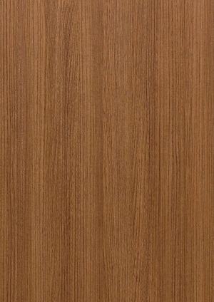 ModernWood Texture