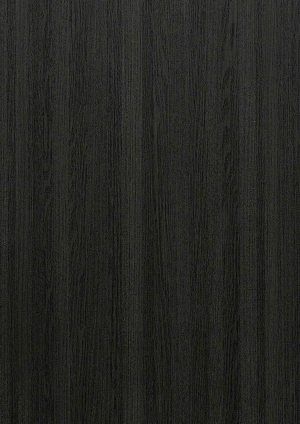 ModernWood Texture